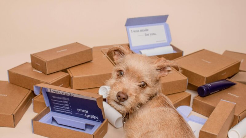 brown wooden box lot Direitos do Consumidor em Caso de Produto Defeituoso