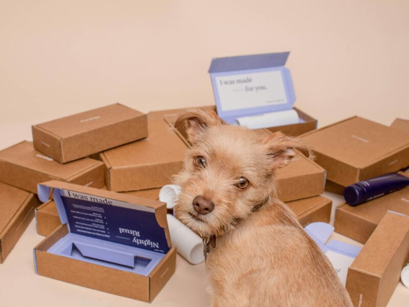 brown wooden box lot Direitos do Consumidor em Caso de Produto Defeituoso