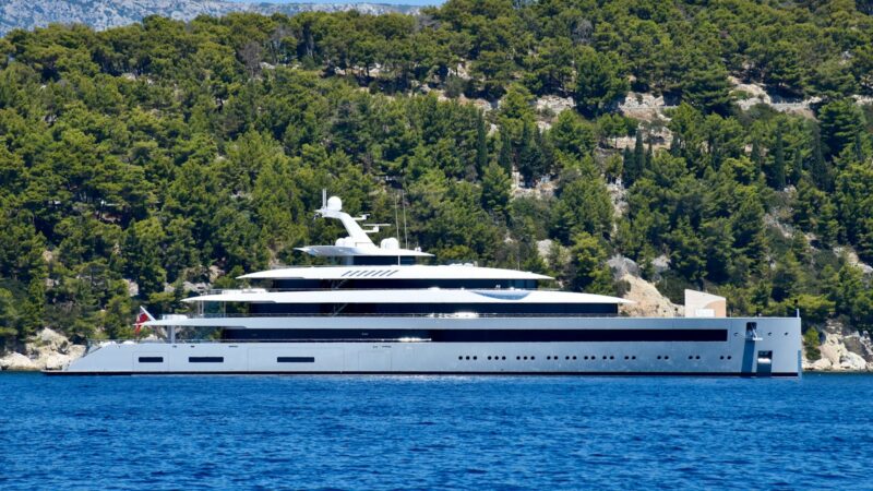 white cruise ship on sea near green trees during daytime